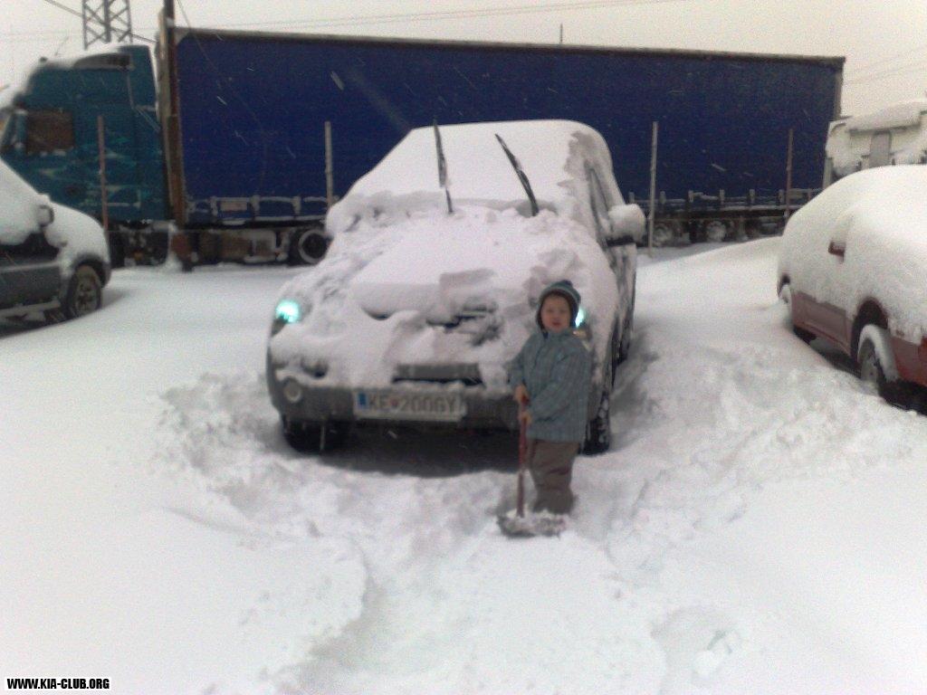 Naše Sorento crdi ATOMAT