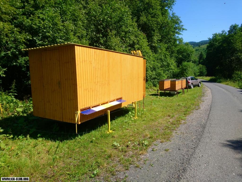 Včely