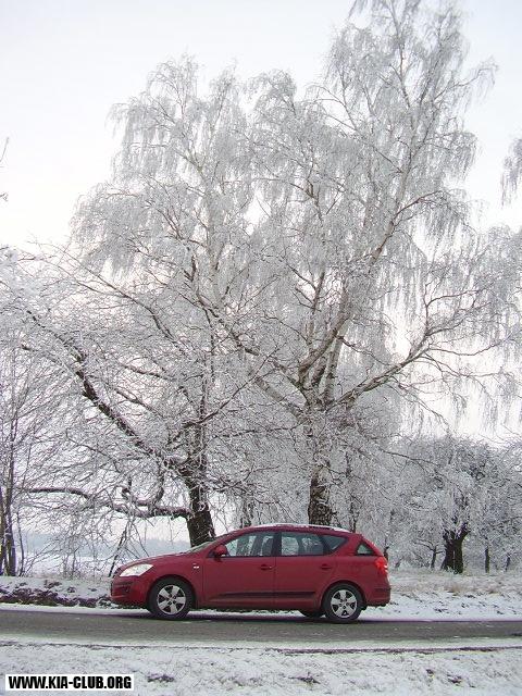 KIA-SW