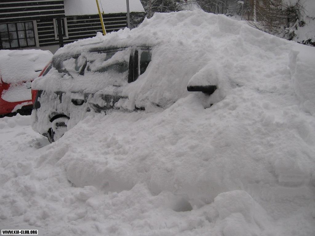 Výherkyně - markytanka - soutěže o nejlepší zimní foto vozu KIA za rok 2009