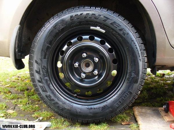 nove gumy2